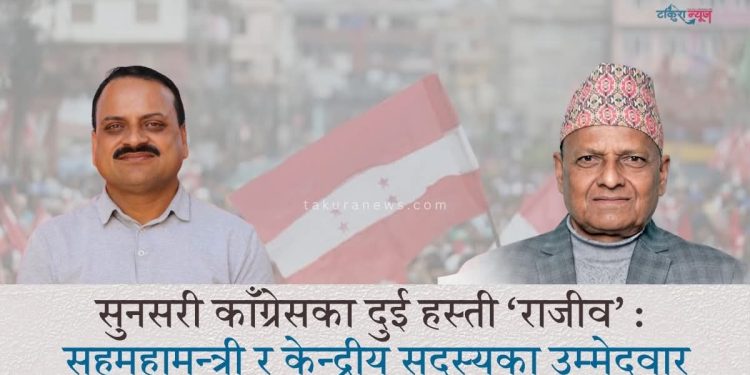 सुनसरी काँग्रेसका हस्ती दुई राजीव : सहमहामन्त्री र केन्द्रीय सदस्यका उम्मेदवार